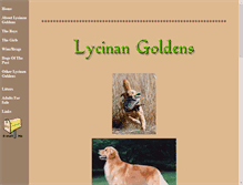 Tablet Screenshot of lycinan.com